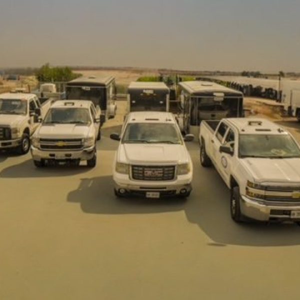 Photoroom_20240620_222204